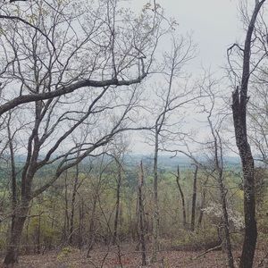 Meet your Posher, Charles